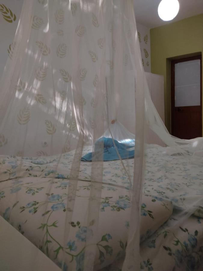 Private Apartment Elbasan Historic Center 外观 照片