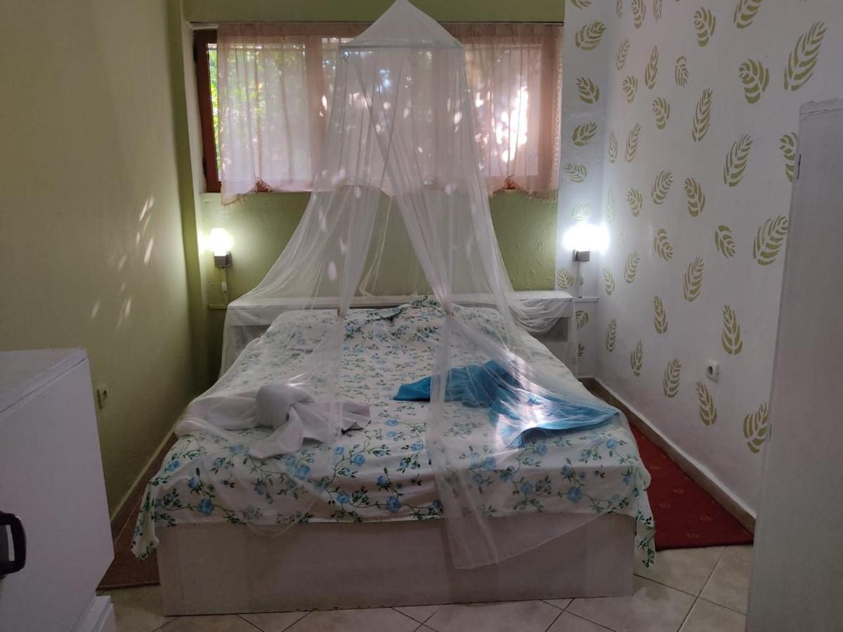 Private Apartment Elbasan Historic Center 外观 照片