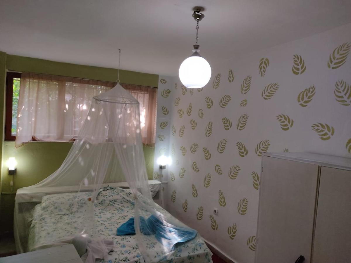 Private Apartment Elbasan Historic Center 外观 照片