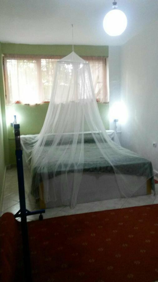 Private Apartment Elbasan Historic Center 外观 照片