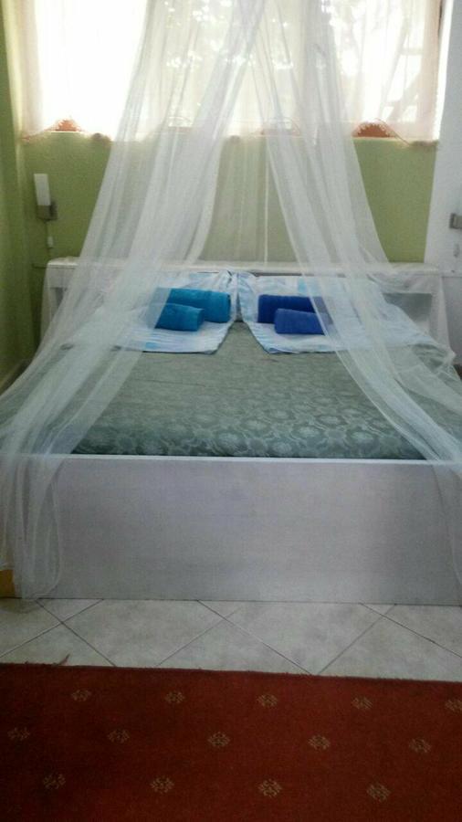 Private Apartment Elbasan Historic Center 外观 照片