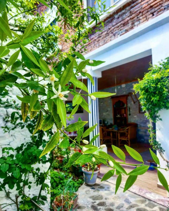 Private Apartment Elbasan Historic Center 外观 照片